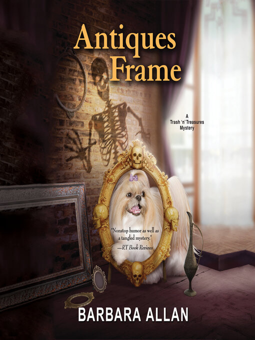 Title details for Antiques Frame by Barbara Allan - Wait list